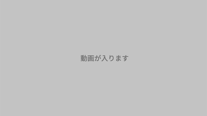 動画が入ります